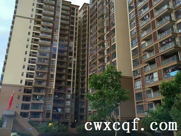 【公明新玉花园】6栋大型花园小区村委统建楼,石岩湖800米,南光高速3